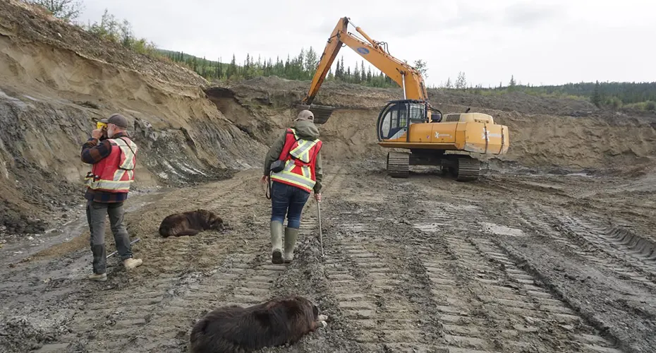 A digger with two experts in the foreground